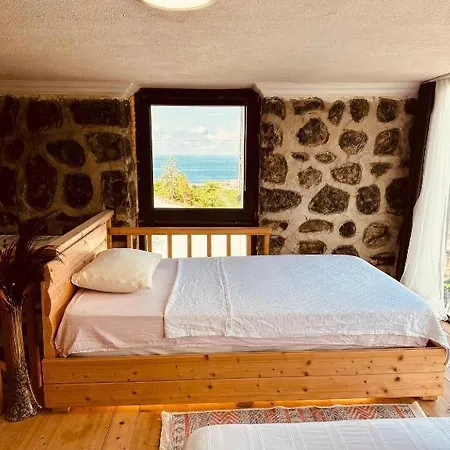 Mavi Patika Bungalove Chalet Pazar (Rize)